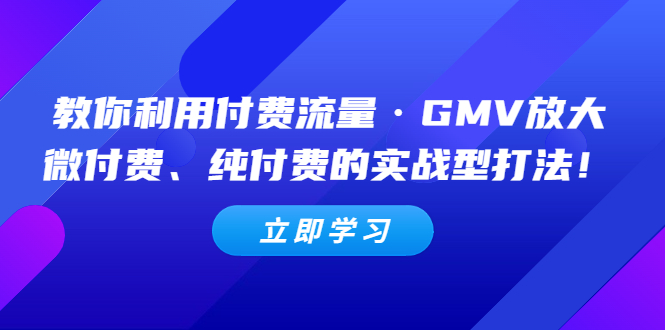 （5106期）教你利用付费流量·GMV放大，微付费、纯付费的实战型打法！-<a href=