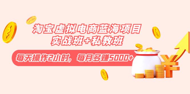 （4056期）淘宝虚拟电商蓝海项目实战班+私教班：每天操作2小时，每月多赚5000+-<a href=