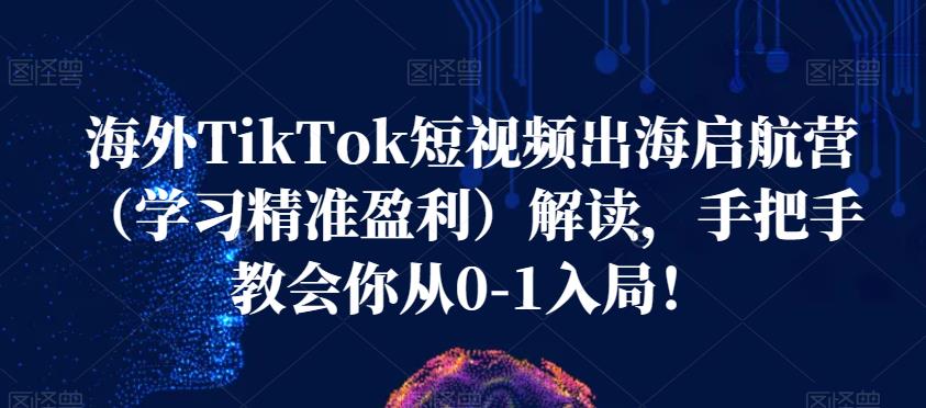 海外TikTok短视频出海启航营（学习精准盈利）解读，手把手教会你从0-1入局！-<a href=