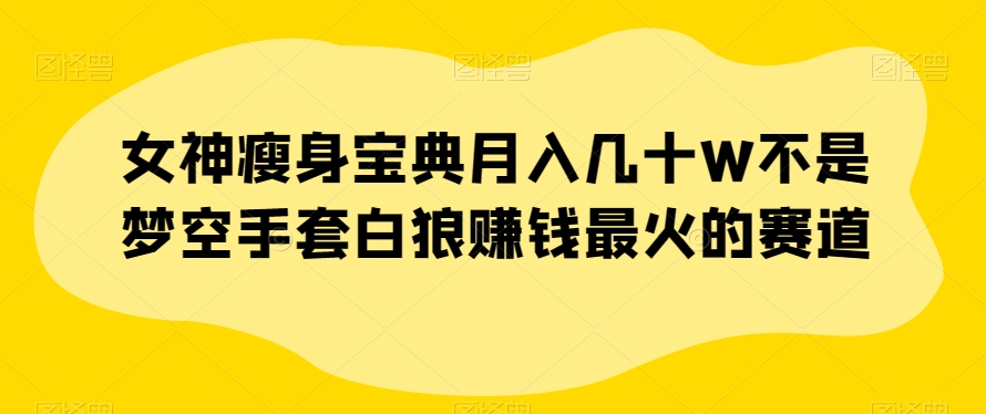 女神瘦身宝典月入几十W不是梦空手套白狼赚钱最火的赛道【揭秘】-<a href=