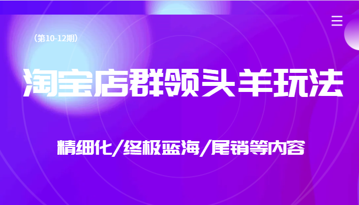 淘宝店群领头羊玩法，精细化/终极蓝海/尾销等内容（第10-12期）-<a href=