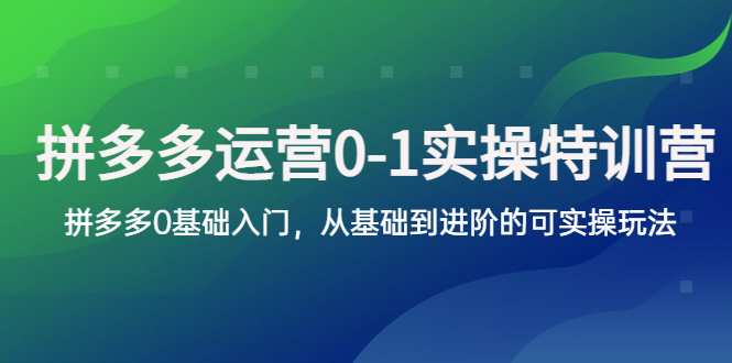 （5747期）拼多多-运营0-1实操训练营，拼多多0基础入门，从基础到进阶的可实操玩法-<a href=
