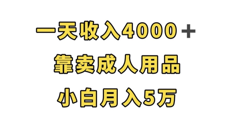 一天收入4000+，靠卖成人用品，小白轻松月入5万【揭秘】-<a href=