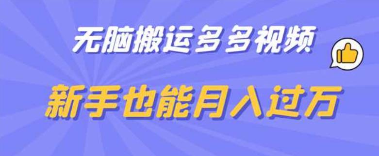 无脑搬运多多视频，新手也能月入过万【揭秘】-<a href=