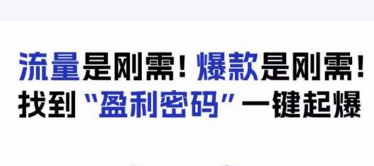 电商盈利精品课：6大盈利密码让产品更好卖，流量是刚需！爆款是刚需！找到”盈利密码”一键起爆-<a href=