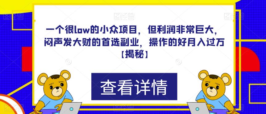 一个很low的小众项目，但利润非常巨大，闷声发大财的首选副业，操作的好月入过万【揭秘】-<a href=