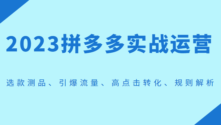 2023拼多多实战运营，选款测品、引爆流量、高点击转化、规则解析-<a href=