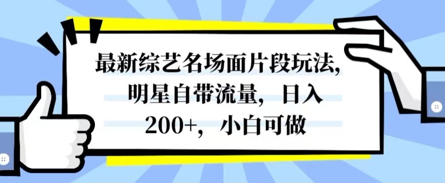 最新综艺名场面片段玩法，明星自带流量，日入200+，小白可做【揭秘】-<a href=