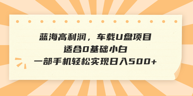 （6600期）蓝海高利润，车载U盘项目，适合0基础小白，一部手机轻松实现日入500+-<a href=