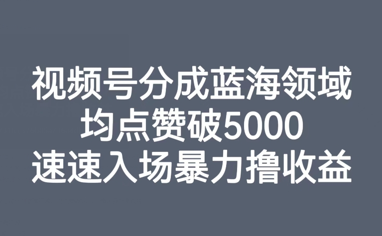 视频号分成蓝海领域，均点赞破5000，速速入场暴力撸收益-<a href=