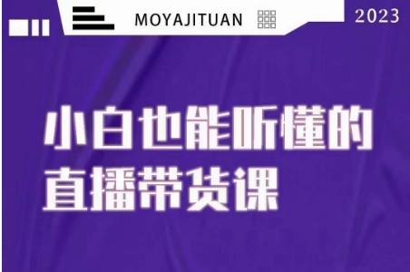 大威本威·能听懂的直播带货课，小白也能听懂，20节完整-<a href=