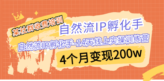 （6924期）某社群收费培训：自然流IP 孵化手-14天线上实操训练营 4个月变现200w-<a href=