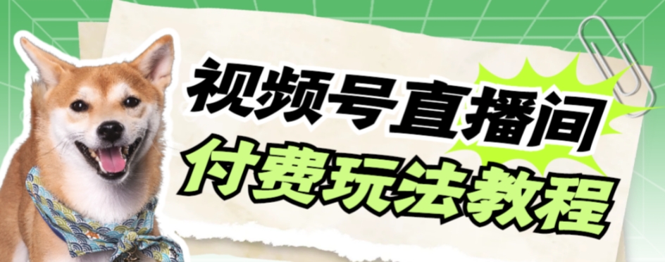 视频号美女付费无人直播，轻松日入500+【详细玩法教程】-<a href=