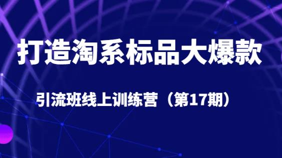 打造淘系标品大爆款引流班线上训练营（第17期）5天直播授课-<a href=