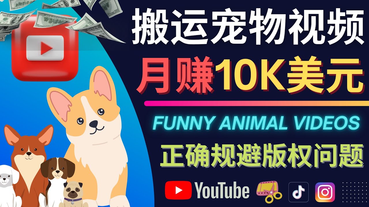 （4221期）搬运TIKTOK视频到YouTube，并进行二次创作，月赚1万美元以上-<a href=