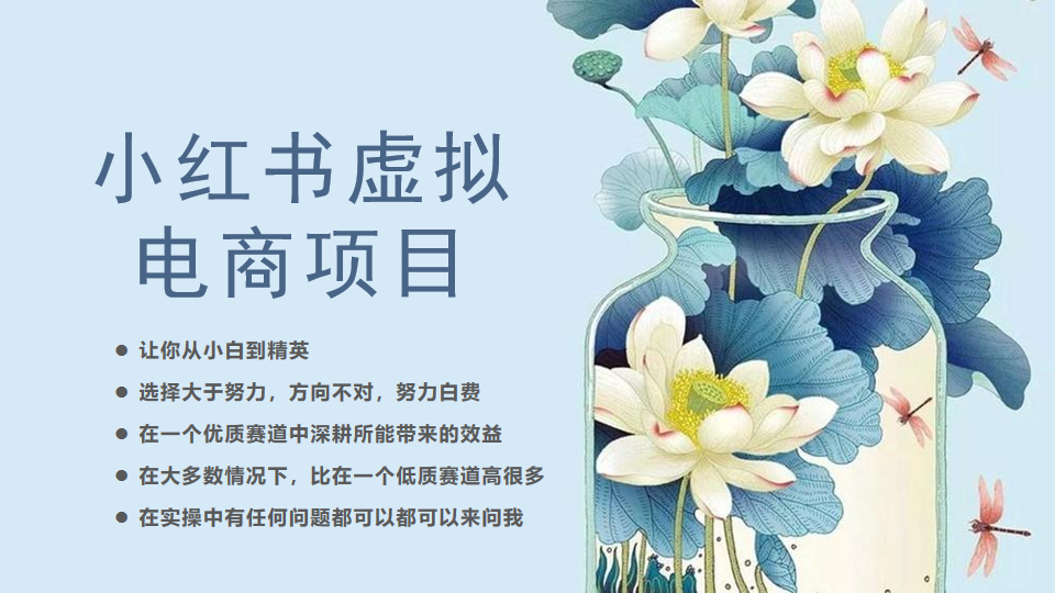 [小红书]小红书虚拟电商从0到1小白到精英（20节实操课程）-<a href=