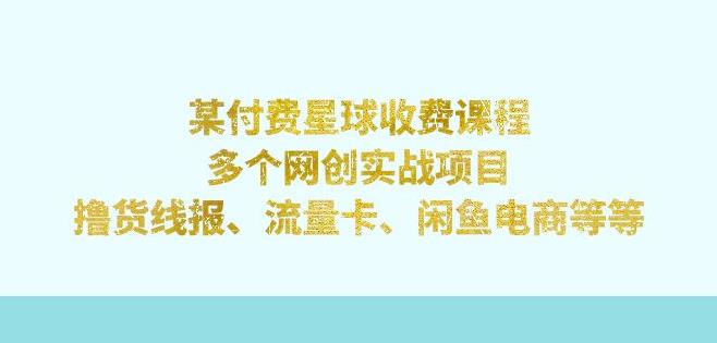 某付费星球课程：多个网创实战项目，撸货线报、流量卡、闲鱼电商等（文档非视频）-<a href=