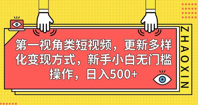 第一视角类短视频，更新多样化变现方式，新手小白无门槛操作，日入500+【揭秘】-<a href=