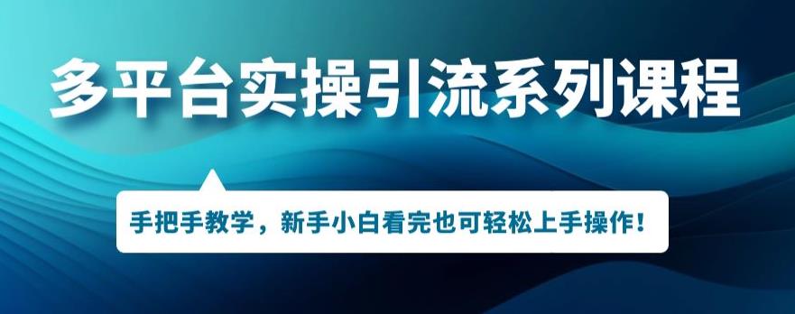 多平台引流实操系列课程，新手小白看完也可轻松上手进行引流操作-<a href=
