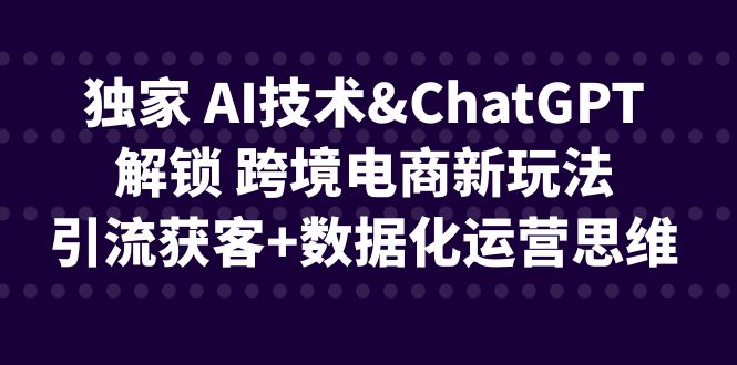 （6599期）独家 AI技术&ChatGPT解锁 跨境电商新玩法，引流获客+数据化运营思维-<a href=