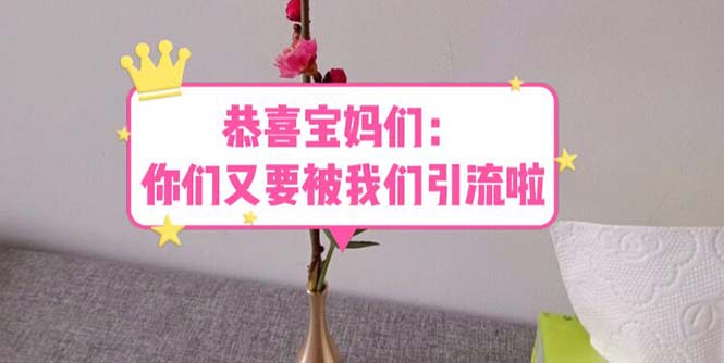 （5891期）恭喜宝妈们：你们又要被我们引流了（教程+222g资料）-<a href=