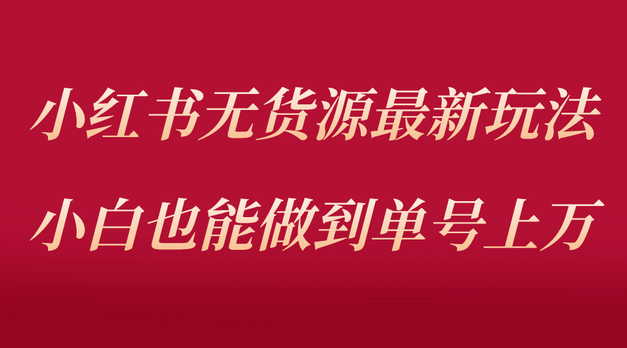 （5646期）小红书无货源最新螺旋起号玩法，电商小白也能做到单号上万（收费3980）-<a href=