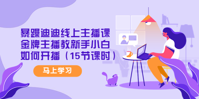 （4203期）暴躁迪迪线上主播课，金牌主播教新手小白如何开播（15节课时）-<a href=