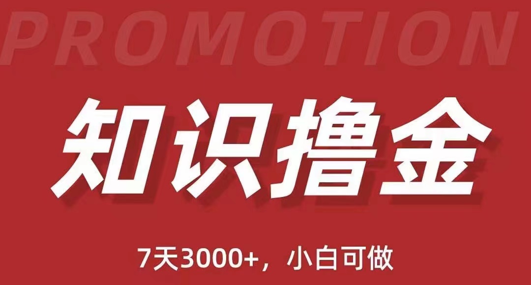 （5629期）抖音知识撸金项目：简单粗暴日入1000+执行力强当天见收益(教程+资料)-<a href=