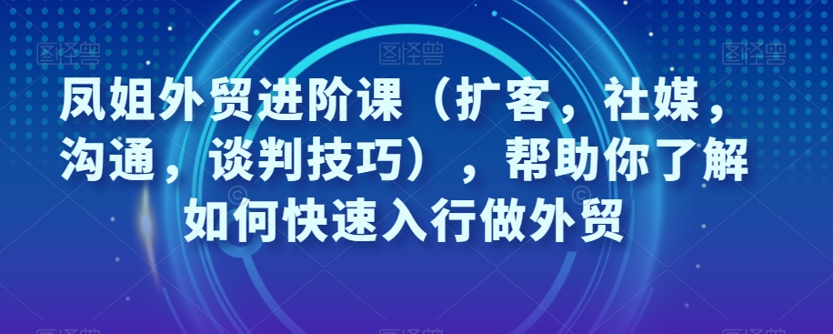 凤姐外贸进阶课（扩客，社媒，沟通，谈判技巧），帮助你了解如何快速入行做外贸-<a href=