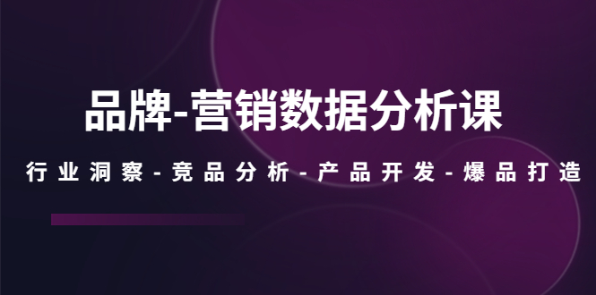 （5565期）品牌-营销数据分析课，行业洞察-竞品分析-产品开发-爆品打造-<a href=