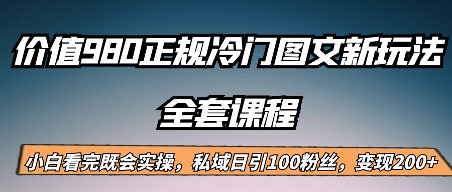 外面卖980的正规冷门图文新玩法，私域日引100粉丝，变现200+-<a href=