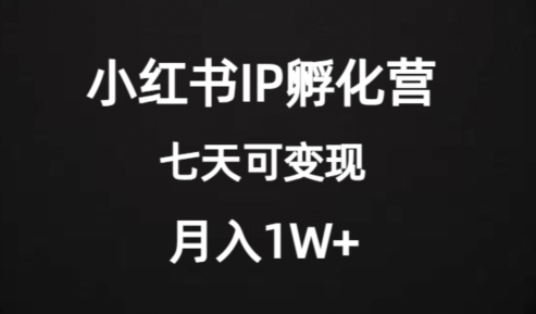 价值2000+的小红书IP孵化营项目，超级大蓝海，七天即可开始变现，稳定月入1W+-<a href=