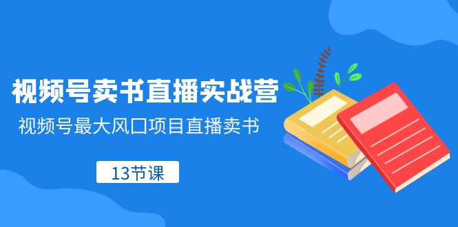 视频号卖书直播实战营，视频号最大风囗项目直播卖书（13节课）-<a href=