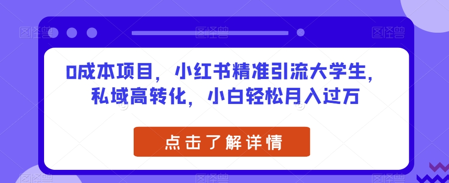 0成本项目，小红书精准引流大学生，私域高转化，小白轻松月入过万【揭秘】-<a href=