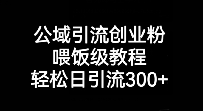 公域引流创业粉，喂饭级教程，轻松日引流300+【揭秘】-<a href=