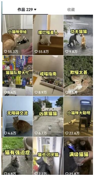 拆解抖音盘点类中视频变现副业项目，视频版一条龙大解析分享给你【视频课程】-<a href=