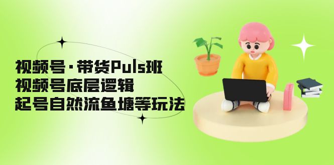 （5027期）视频号·带货Puls班，视频号底层逻辑，起号自然流鱼塘等玩法-<a href=