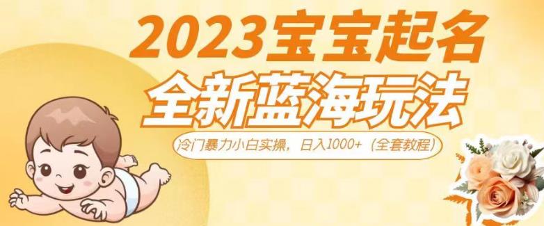2023宝宝起名全新蓝海玩法，冷门暴力小白实操，日入1000+（全套教程）【揭秘】-<a href=