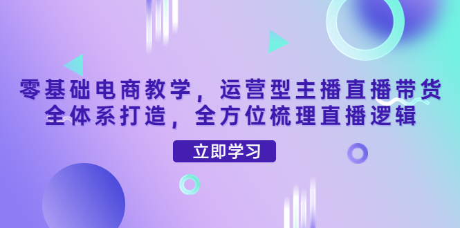 （4095期）零基础电商教学，运营型主播直播带货全体系打造，全方位梳理直播逻辑-<a href=