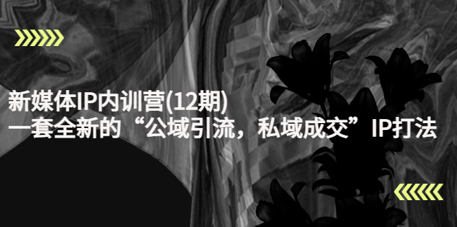 （4103期）新媒体IP内训营(12期)，一套全新的“公域引流，私域成交”IP打法，直接带走-<a href=