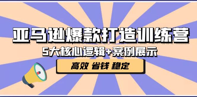 （5107期）亚马逊爆款打造训练营：5大核心逻辑+案例展示 打造爆款链接 高效 省钱 稳定-<a href=