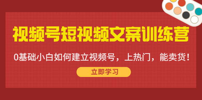 （4266期）视频号短视频文案训练营：0基础小白如何建立视频号，上热门，能卖货！-<a href=