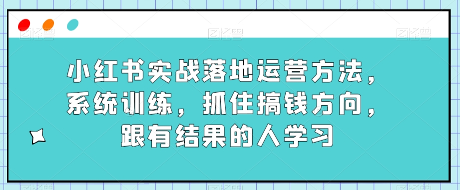 小红书实战落地运营方法，系统训练，抓住搞钱方向，跟有结果的人学习-<a href=