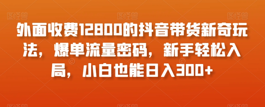 外面收费12800的抖音带货新奇玩法，爆单流量密码，新手轻松入局，小白也能日入300+【揭秘】-<a href=