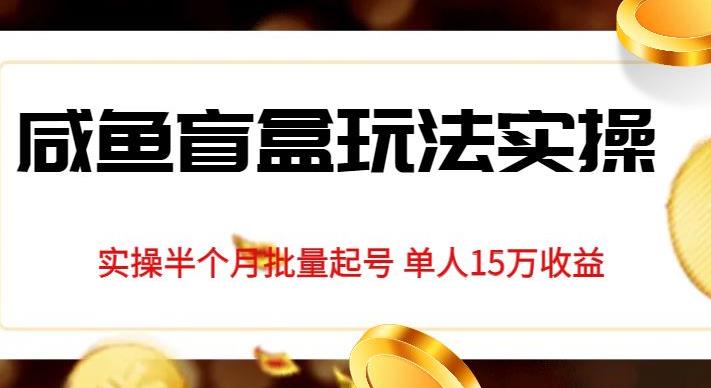 独家首发咸鱼盲盒玩法实操，半个月批量起号单人15万收益【揭秘】-<a href=