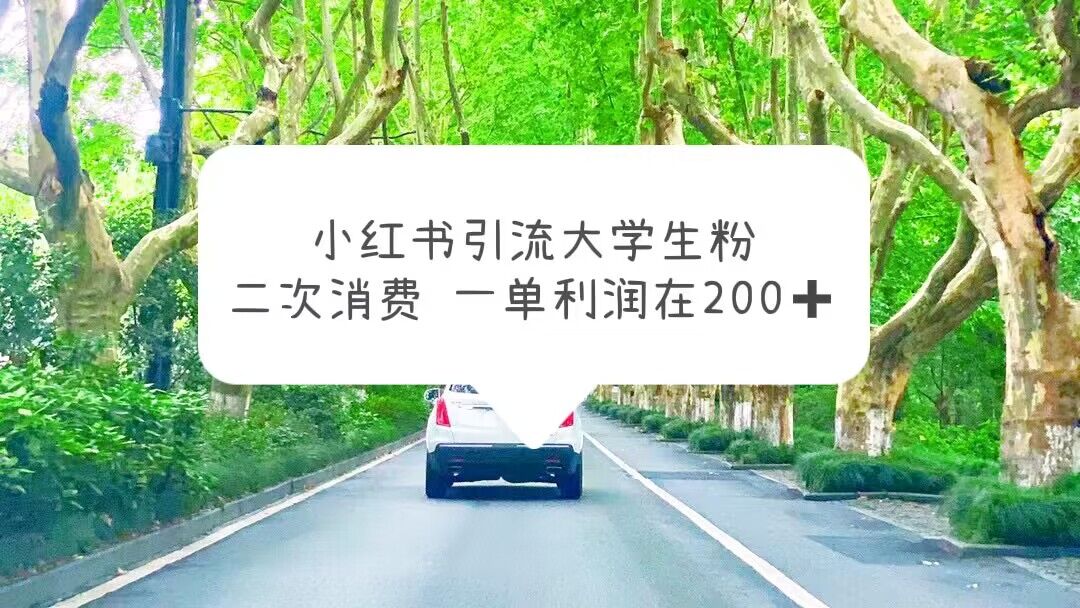 （5914期）小红书引流大学生粉，变现项目，一单利润在200+（教程+资源）-<a href=