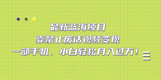 （7276期）最新蓝海项目，靠禁止废话视频变现，一部手机，小白轻松月入过万！-<a href=