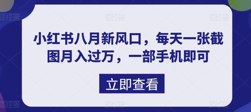 （6851期）八月新风口，小红书虚拟项目一天收入1000+，实战揭秘-<a href=