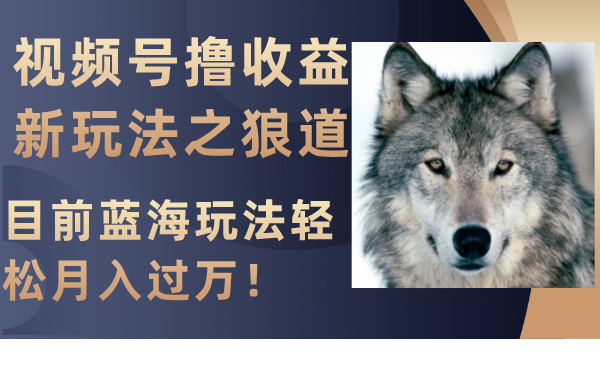 （8042期）视频号撸收益新玩法之狼道，目前蓝海玩法轻松月入过万！-<a href=
