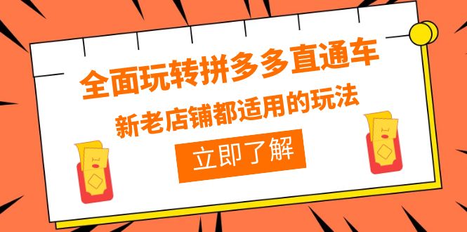 （6294期）全面玩转拼多多直通车，新老店铺都适用的玩法（12节精华课）-<a href=